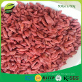 cheap price good Quality Dried Goji berry from China